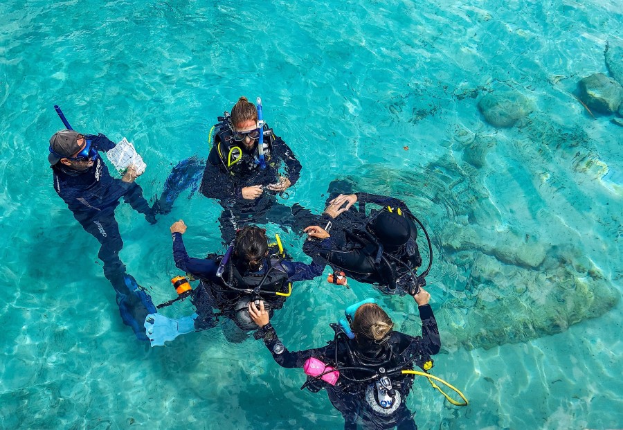 Conducting confined water dives during a PADI Instructor Development Course (IDC)